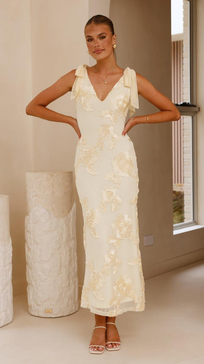Lily | Embroidered Floral Mesh Maxi Dress